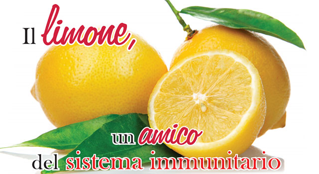 limone_sistema-immunitario