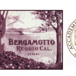 accademia-bergamotto