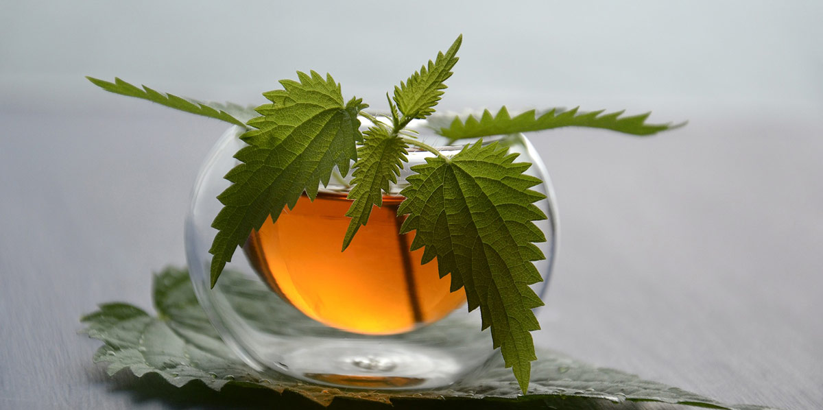 tisane_pomeriggio